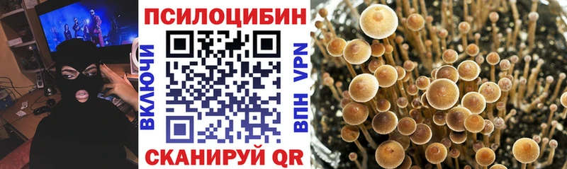 Псилоцибиновые грибы GOLDEN TEACHER  купить  сайты  Томилино 